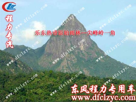 海南乐东原始雨林尖峰岭一角