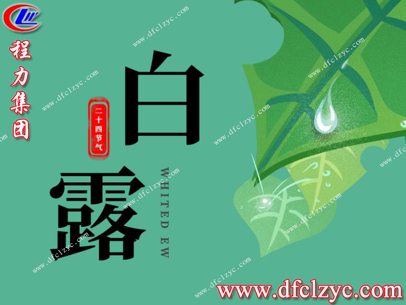 程力集团