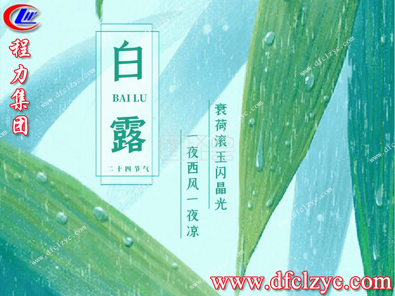 程力集团