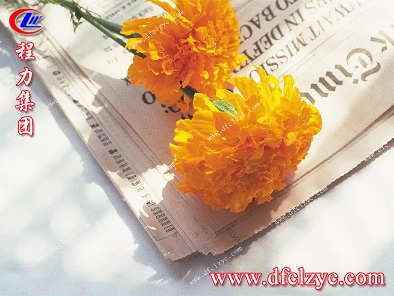 程力集团 程力集团