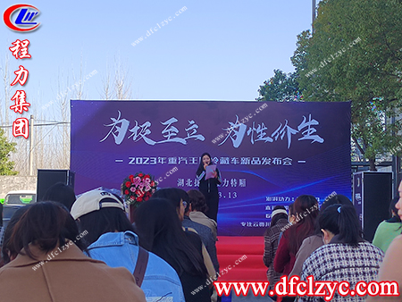 程力集团 程力集团